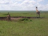 Kenya09-4115