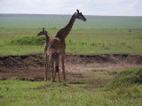 Kenya09-4116