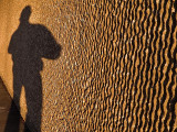 Shadow Self