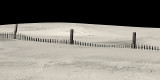 Fence and Dune
