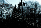 Singing Wires