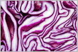 Purple Maze