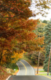 Goin Down the Road