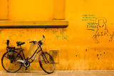 1st Place Viva la Bicicleta by turidia