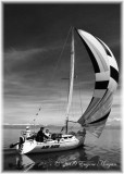 Sailing in Winter on the Great Salt Lake
