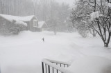 Wednesday (Feb. 10) 8:32 am - Snowing hard  (again)