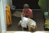 Towel service