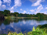 G1_1230434_1983.jpg
