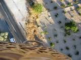 Trying to catch the wind to get us higher.