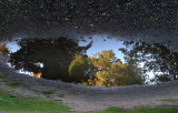 In the ground, another view