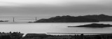 SF Bay and Bridge - B&W