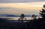 Bay Bridge & city from EastBay