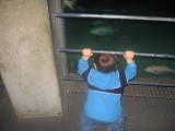 Noah looking at the Fish @ the Baltimore Aquarium