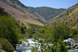 5/3/08- Kern River with wildflowers