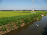 Crane above a water channel along the train line