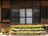 Flower garden out front of a house