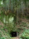 Old mine shaft below a bamboo forest