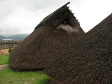 Thatched roofs of the restored huts