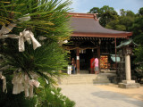 Omikuji tied near the main hall of Shōin-jinja