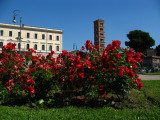 Flowers on Piazza della Verit