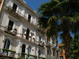 Palm and facade on Piazza della Libert
