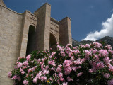 Flowers within Kruja castle