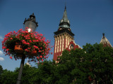 Subotica Town Hall and decorated lantern