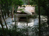 View through the trees onto Kaze-no-miya