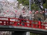 Tripod-wielding photographer on the bridge