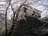 Kameyama-jō (Mie) 亀山城