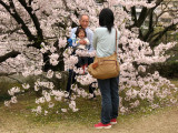 Posing with grandpa amidst the sakura