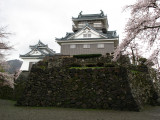 Echizen Ōno-jō and its stone walls