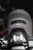 Sigma 150mm f/2.8 EX DG APO Macro Lens