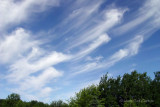 0406_fathers_day-clouds.jpg