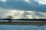01/29/2010 - _MG_5526.jpg