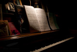 02/01/2010 - _MG_5566.jpg