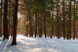 02/21/2010 - _MG_5810.jpg