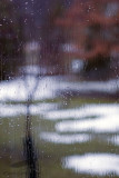 03/12/2010 - _MG_6069.jpg