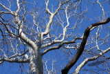 03/18/2010 - _MG_6171.jpg
