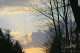 03/20/2010 - DSC06398.jpg