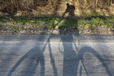 04/14/2010 - _MG_6623.jpg