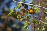 05/14/2010 - _MG_7579.jpg