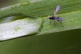 05/22/2010 - _MG_7823.jpg