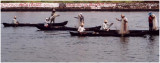 Fishing in Cochin