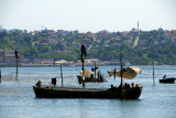 dalyan in beykoz