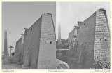 The Temple of Luxor in 1908 and in 2008