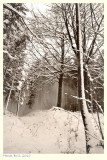 Winter 2010 - III