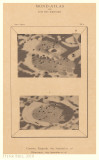 Tafel 9 - Casatus, Klaproth / Blancanus (with overlay)