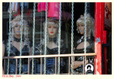 Dolls on the look out