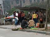 103Vegetable Sellers.jpg